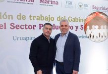 Plan Michoacán refuerza la estrategia de seguridad; suman más de 200 detenciones y 238 vehículos asegurados