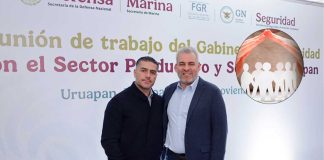 Plan Michoacán refuerza la estrategia de seguridad; suman más de 200 detenciones y 238 vehículos asegurados