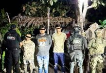 Capturan en Tierra Caliente a tres presuntos 3xt0rsi0nad0r3s ligados a Los Blancos de Troya