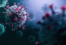 México confirma el primer caso de influenza A H3N2 subclado K (“supergripe”) y hay circulación de la variante en el país.