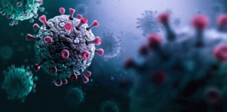 México confirma el primer caso de influenza A H3N2 subclado K (“supergripe”) y hay circulación de la variante en el país.