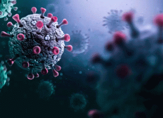 México confirma el primer caso de influenza A H3N2 subclado K (“supergripe”) y hay circulación de la variante en el país.