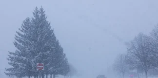 Frío excepcional, cómo un Ártico más cálido sumerge a EE.UU. y Europa del Este en una gran helada