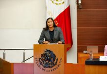 Llama Celeste Ascencio a fortalecer la Cultura de la Paz y la memoria histórica desde el Senado
