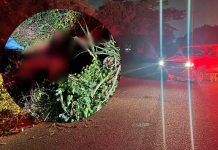 Localizan a mujer sin vida cerca del antiguo acceso a Playa Jardín