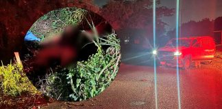 Localizan a mujer sin vida cerca del antiguo acceso a Playa Jardín