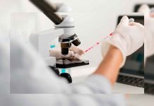 Buscas a un familiar desaparecido? Realizarán jornada de toma de ADN en Morelia.