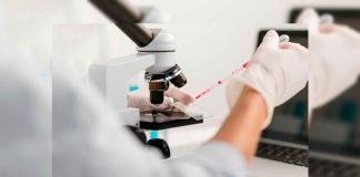 Buscas a un familiar desaparecido? Realizarán jornada de toma de ADN en Morelia.