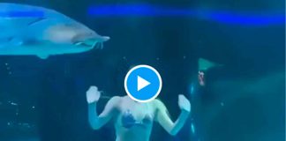 Esturión ataca a mujer vestida de sirena durante espectáculo en acuario