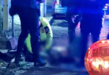 Peatón muere tras ser atropellado en la Av. Michoacán, Morelia