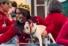La Caravana de Reyes Magos llena de alegría a familias de Jiquilpan