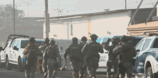 Identifican a cuatro jóvenes asesinados y abandonados en costales en Texticuitzeo