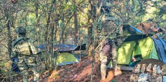 SSP inhabilita 2 campamentos ilícitos y asegura 2 vehículos en Salvador Escalante