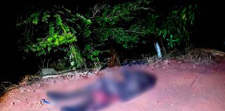 Abandonan c4d4v3r encobijado en brecha de Apatzingán