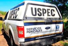 Identifican a los 6 3j3cut4d0s hallados el lunes en brecha de Apatzingán