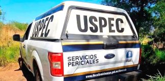 Localizan seis ejecutados en predio de “El Guayabo”, en Apatzingán