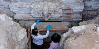 #VIDEO||Esto encontraron en el descubrimiento arqueológico más relevante de la década.