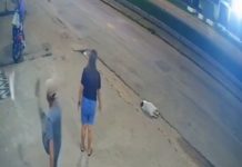#VIDEO || Mujer enfrenta a agresor por patear a un gato y termina adoptándolo