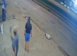 #VIDEO || Mujer enfrenta a agresor por patear a un gato y termina adoptándolo