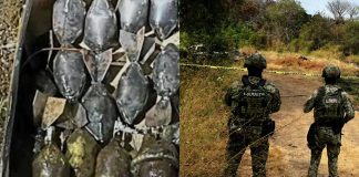 Localizan 19 artefactos explosivos improvisados en camino rural de Buenavista Tomatlán