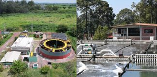 Plantas de tratamiento fortalecen cuidado ambiental y la salud pública en Michoacán: Ceac