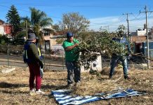Gobierno de Morelia atiende área verde en Cumbres del Quinceo con jornada integral de mantenimiento