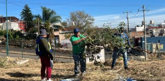 Gobierno de Morelia atiende área verde en Cumbres del Quinceo con jornada integral de mantenimiento