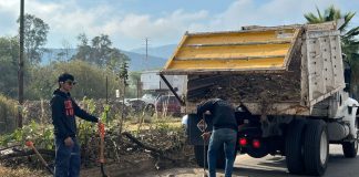 Encabeza Yankel Benítez jornada ciudadana de limpieza en La Aldea