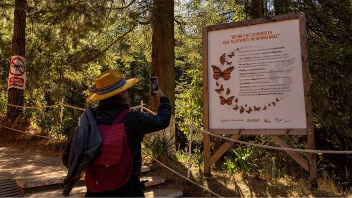 Diseño sin título (73)