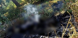 Localizan tres cuerpos calcinados en Ucareo