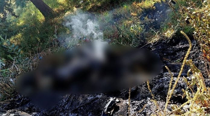 Localizan tres cuerpos calcinados en Ucareo