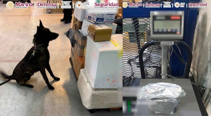 En el AICM, autoridades federales aseguran un paquete con fentanilo enviado desde un país asiático.