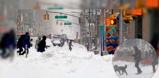 Frío mortal azota Estados Unidos y deja decenas de víctimas