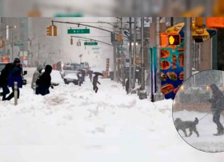 Frío mortal azota Estados Unidos y deja decenas de víctimas