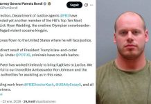 Estados Unidos reconoce colaboración de México en la detención de Ryan Wedding