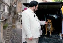 VIDEO // Resguardan a “Lobito” tras denuncia de maltrato animal en Naucalpan