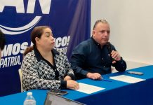 Conformación de la asociación civil “AMA Michoacán” no tiene tintes políticos: PAN