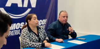 Conformación de la asociación civil “AMA Michoacán” no tiene tintes políticos: PAN