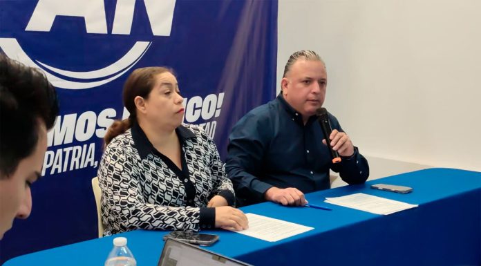 Conformación de la asociación civil “AMA Michoacán” no tiene tintes políticos: PAN