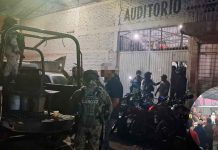 SSP y Defensa desactivan palenque clandestino en Zamora