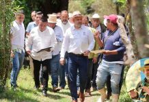 Recuperadas 500 hectáreas de superficie del lago de Pátzcuaro: Bedolla