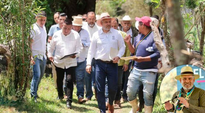 Recuperadas 500 hectáreas de superficie del lago de Pátzcuaro: Bedolla