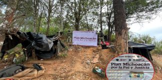 Operativos conjuntos en Michoacán dejan cuatro detenidos y el desmantelamiento de campamentos delictivos