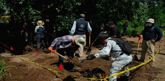 De 2019 a la fecha, en Michoacán ubicadas un estimado de 400 fosas clandestinas