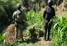 Crónica| Militares frenan amenaza armada en brecha de Apatzingán