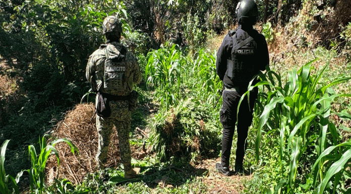 Crónica| Militares frenan amenaza armada en brecha de Apatzingán