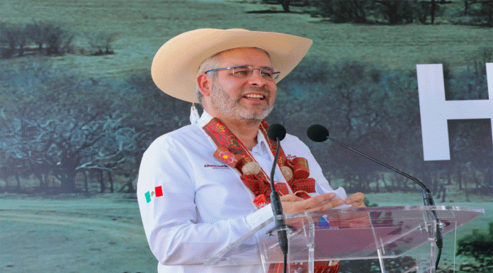 Encuesta confirma respaldo a Bedolla: aprueba en lo social, educativo y en confianza ciudadana