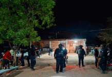 SSP desactiva palenque clandestino en Apatzingán