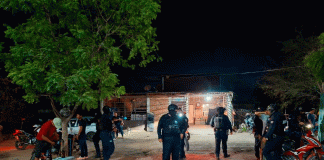 SSP desactiva palenque clandestino en Apatzingán