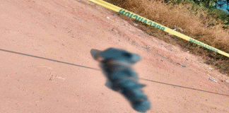 Abandonan cadáver embolsado y baleado en la carretera Tepalcatepec -Buenavista